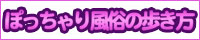 ぽっちゃり風俗の歩き方